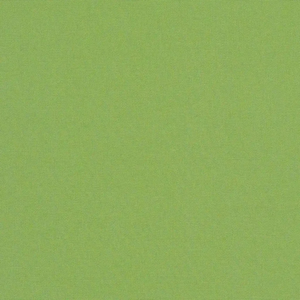 Ginkgo